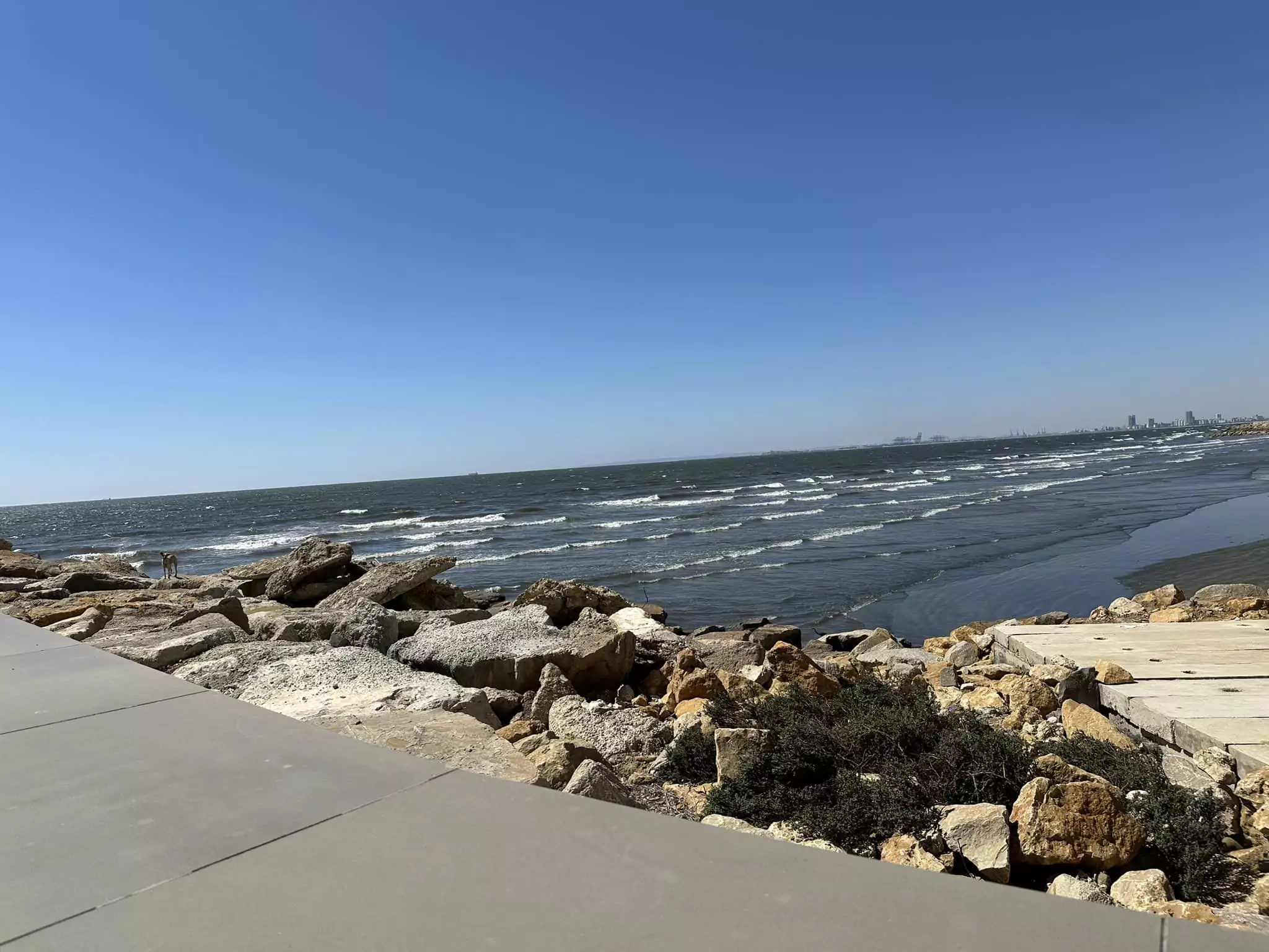 Luxury 3-Bedroom Sea View Apartment for Rent in Emaar Pearl DHA Phase 8 Karachi (12) Luxury 3-Bedroom Sea View Apartment for Rent in Emaar Pearl DHA Phase 8 Karachi